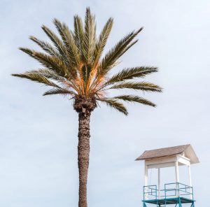 Leiebil & bilutleie i Larnaka