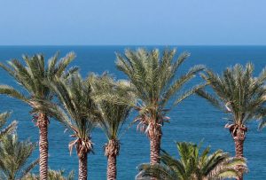 Leiebil & bilutleie i Ayia Napa