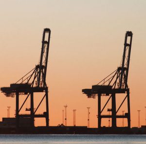 Bilutleie & leiebil Aarhus lufthavn