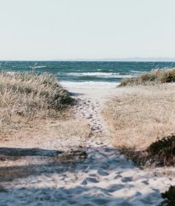 Leiebil & bilutleie i Frederikshavn