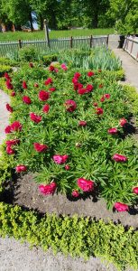 Leiebil & bilutleie i Landskrona