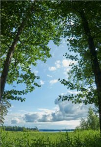 Leiebil & bilutleie i Karlskoga