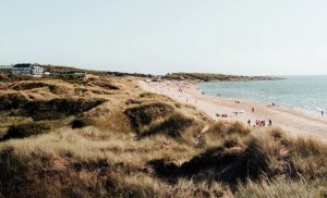 Leiebil & bilutleie i Halmstad