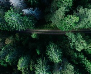 Leiebil & bilutleie i Gävle