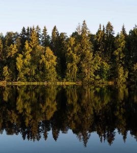 Leiebil & bilutleie i Borlänge