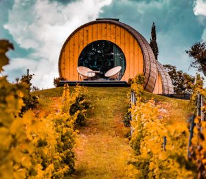 Bilutleie & leiebil i Douro Litoral