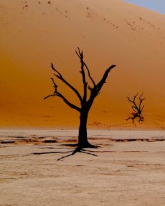 Leiebil & bilutleie i Windhoek