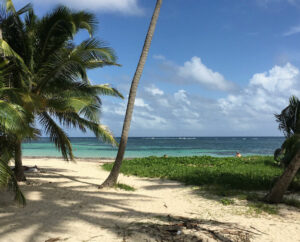 Billig bilutleie & leiebil i Martinique