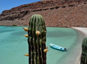 Bilutleie & leiebil i Baja California