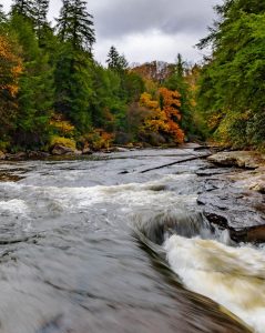 Bilutleie & leiebil i Maryland