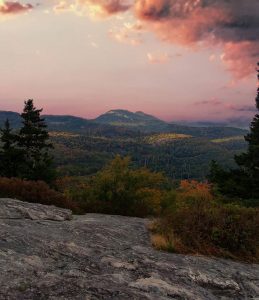 Bilutleie & leiebil i Nord-Carolina