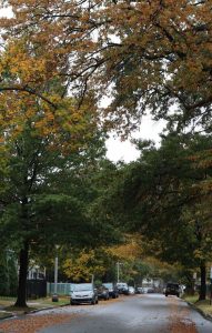 Bilutleie & leiebil i New Jersey