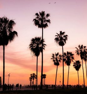 Bilutleie & leiebil i California