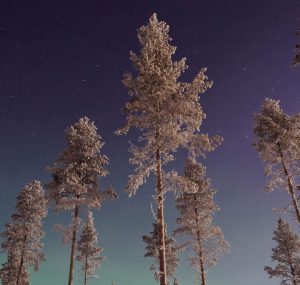 Bilutleie & leiebil Gällivare lufthavn