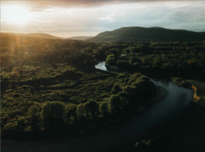 Bilutleie & leiebil i New Brunswick