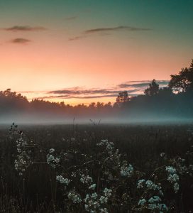 Bilutleie & leiebil Åbo lufthavn