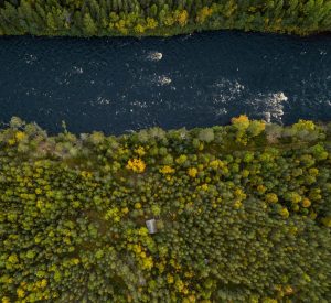 Bilutleie & leiebil Umeå lufthavn