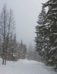 Bilutleie & leiebil Karlstad lufthavn