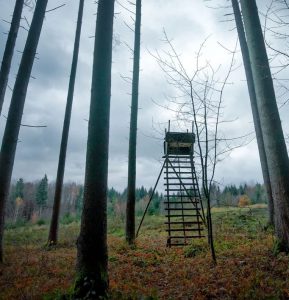 Bilutleie & leiebil Memmingen lufthavn
