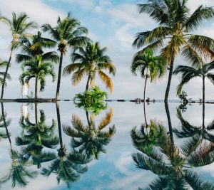 Billig bilutleie & leiebil i Mauritius