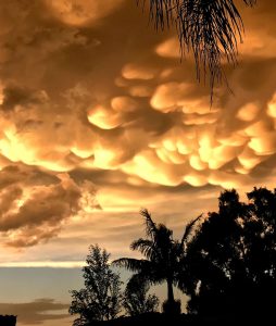 Leiebil & bilutleie i Pretoria